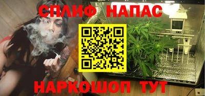 прущие грибы Гусев