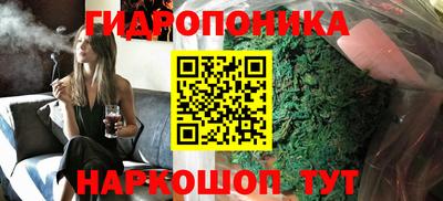 прущие грибы Гусев
